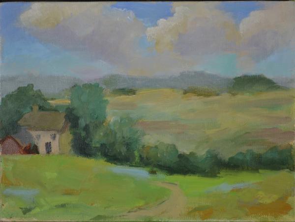 Field Study